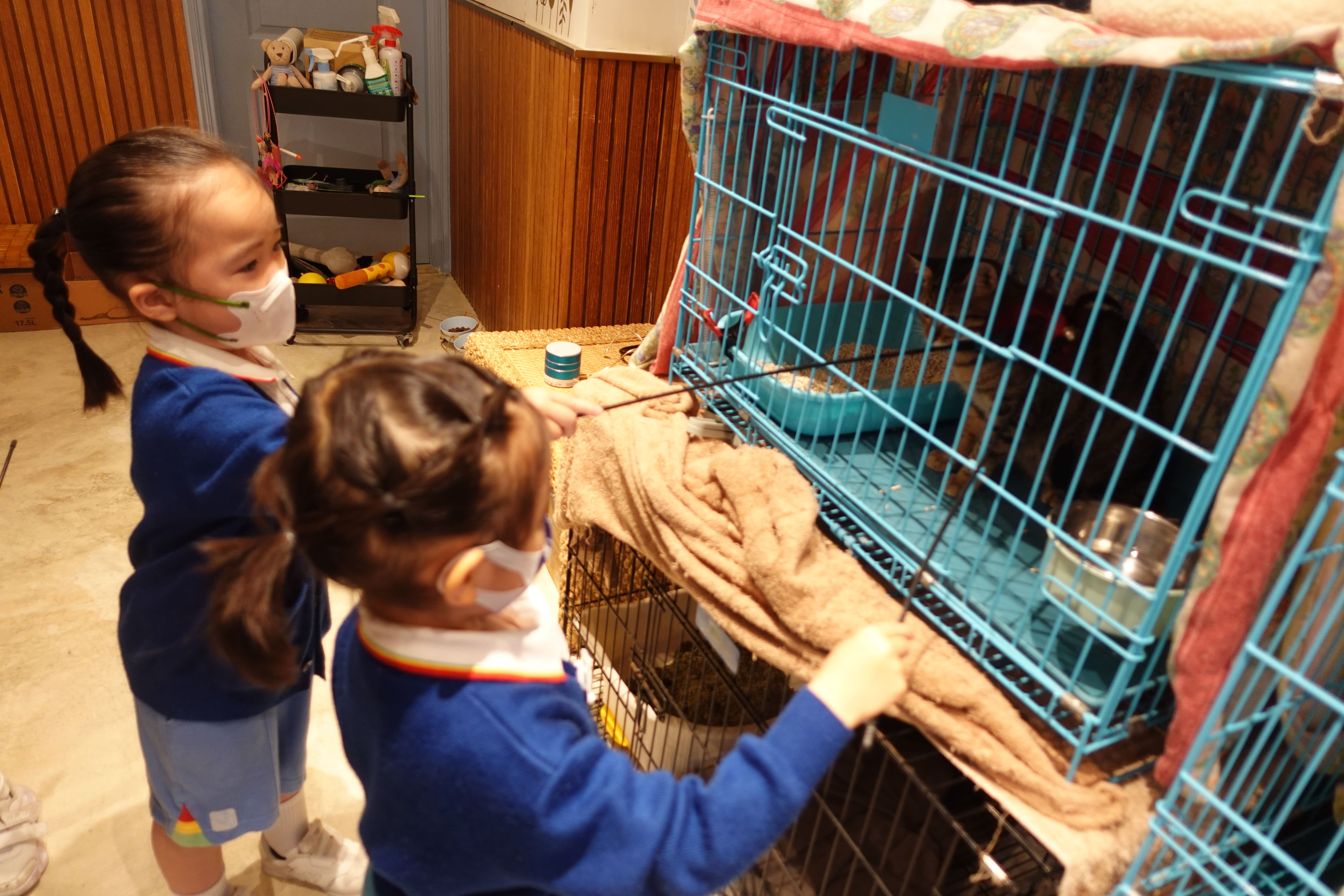 (22-23)2023-4-25–Visit pet shop