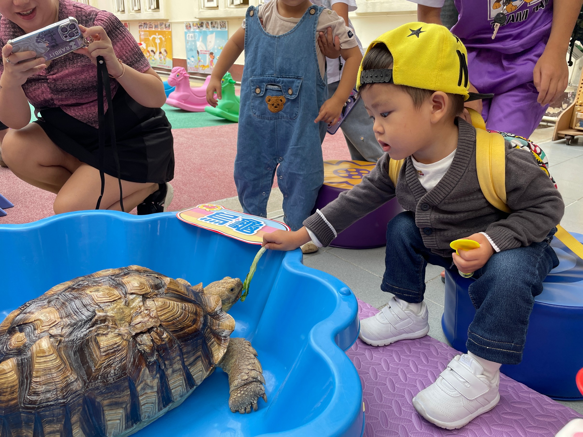 (24-25)2024-11-2–幼兒樂FUNDAY