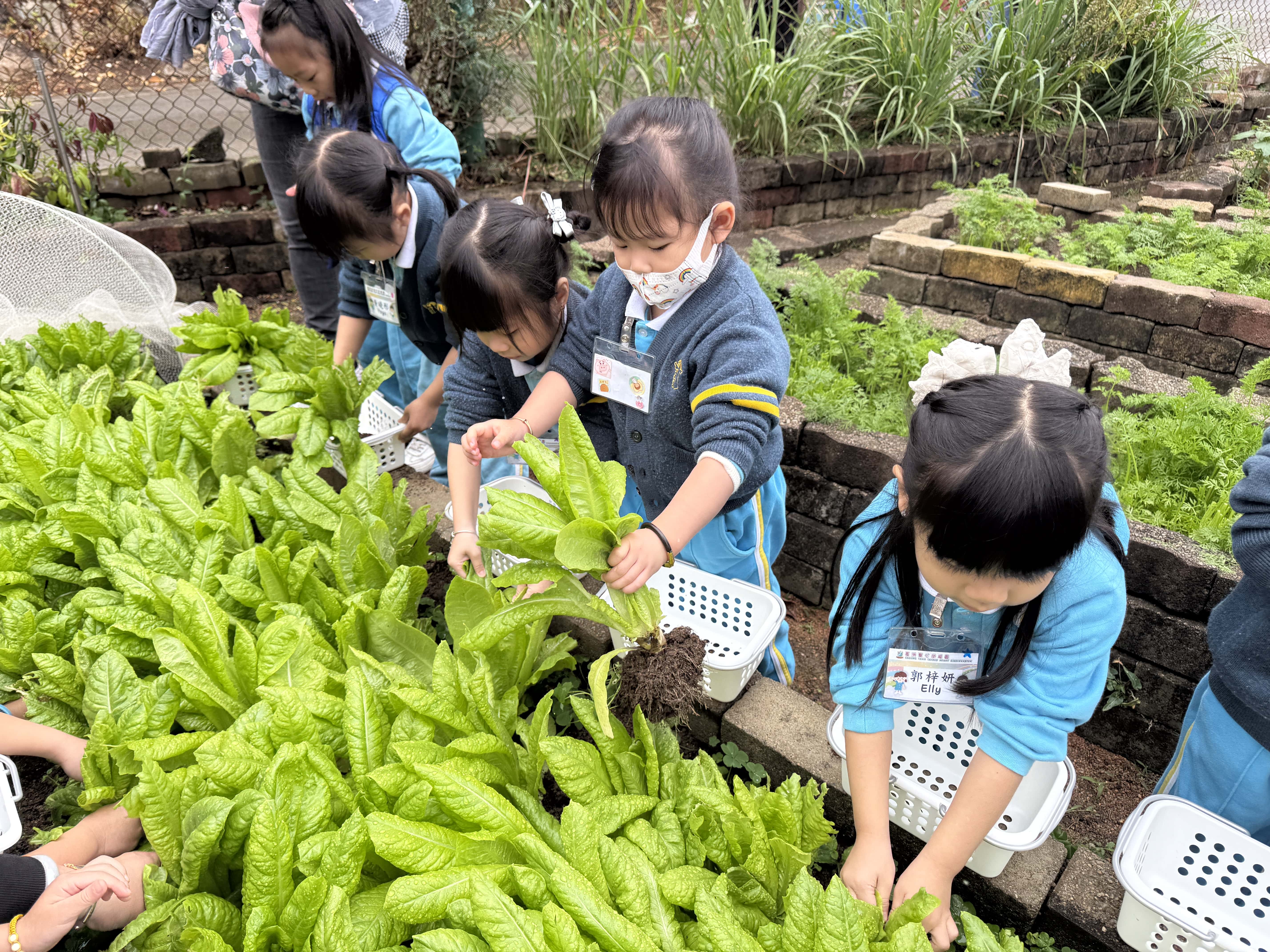 (25-26)2026-1-30–K2 Visit Cheung Chau Food Recycle Land