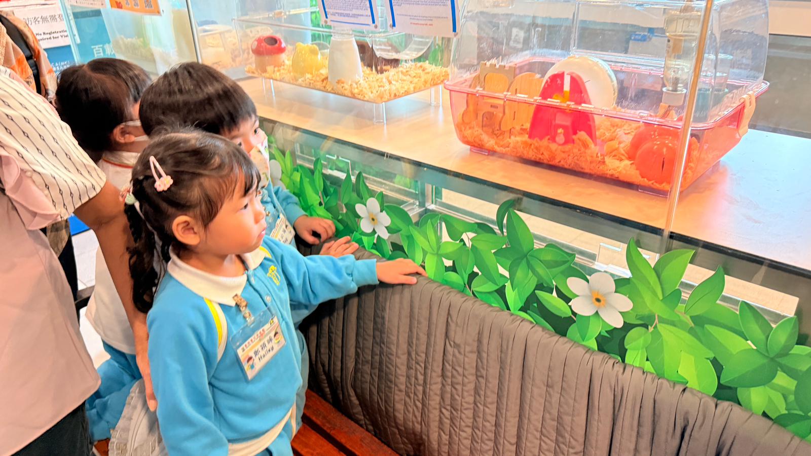 (25-26)2026-2-25–低班_參觀香港愛護動物協會總部